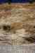 20121024_1055010m.jpg - 2012:10:24 10:55:01