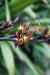 20121024_1627230m.jpg - 2012:10:24 16:27:23