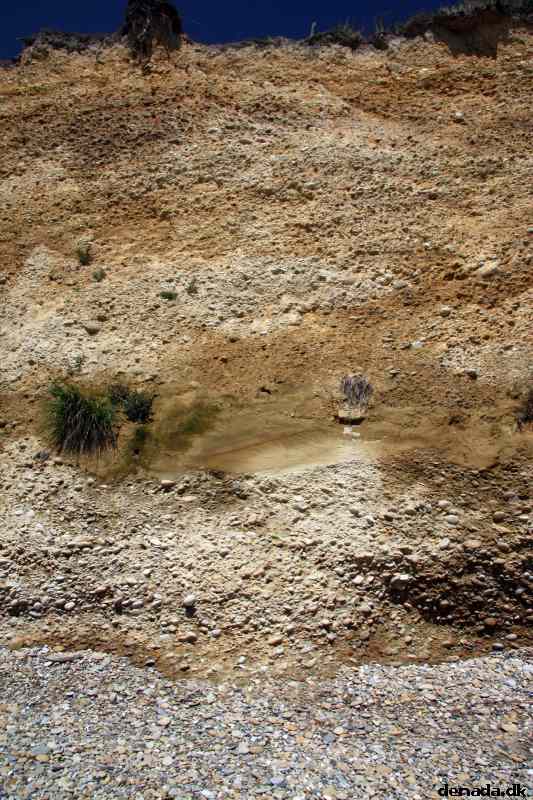 * Image 4