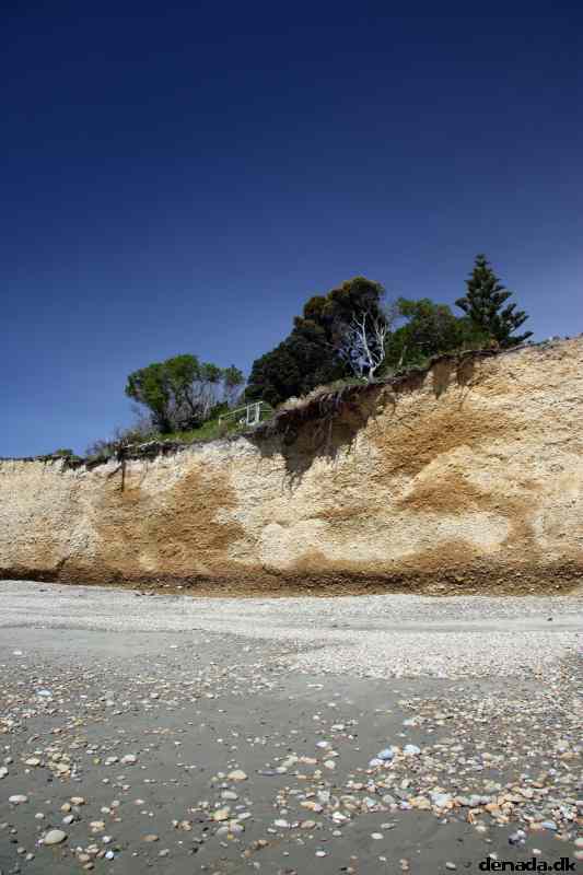 * Image 13