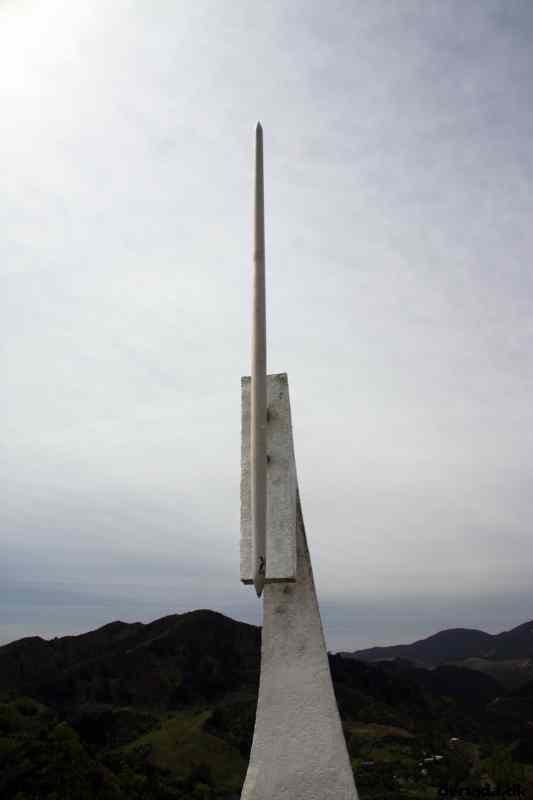 * Image 19