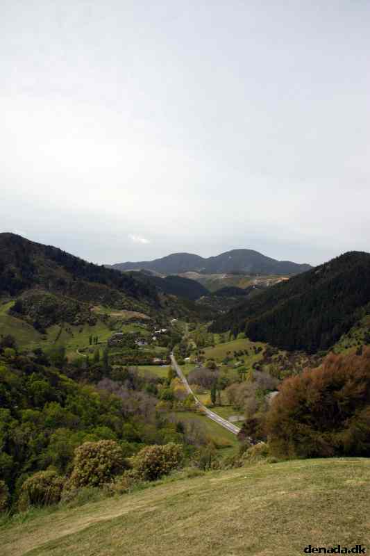* Image 22