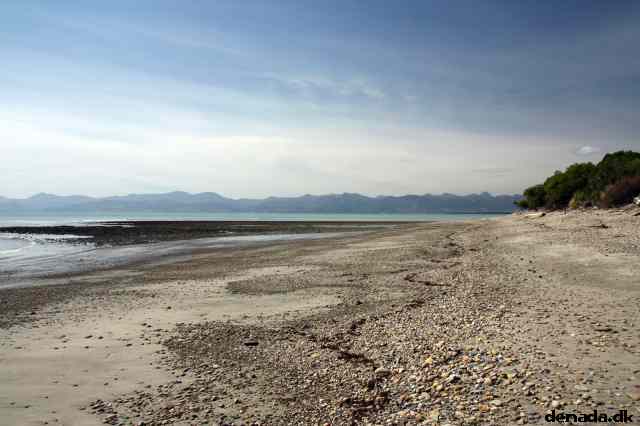 * Image 2