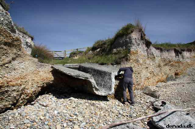 * Image 6