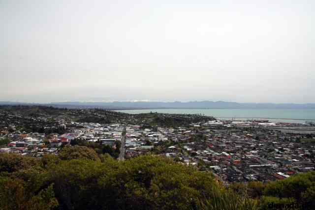 * Image 21