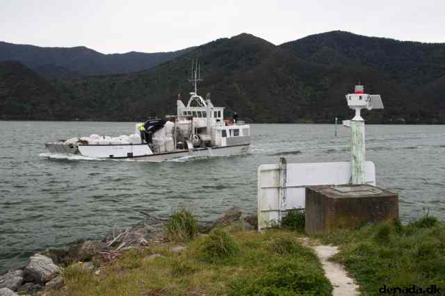 * Image 41