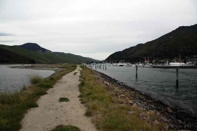 * Image 42