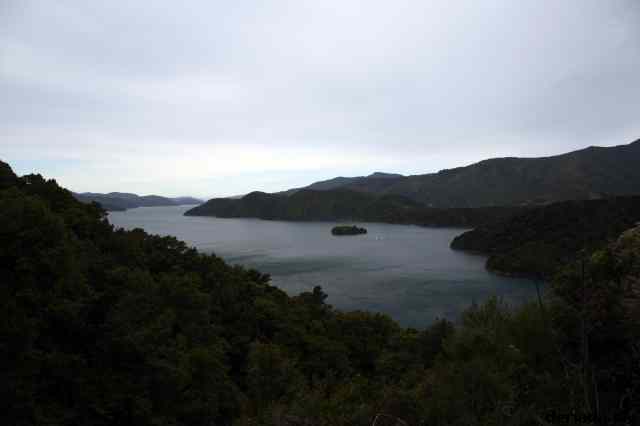 * Image 47