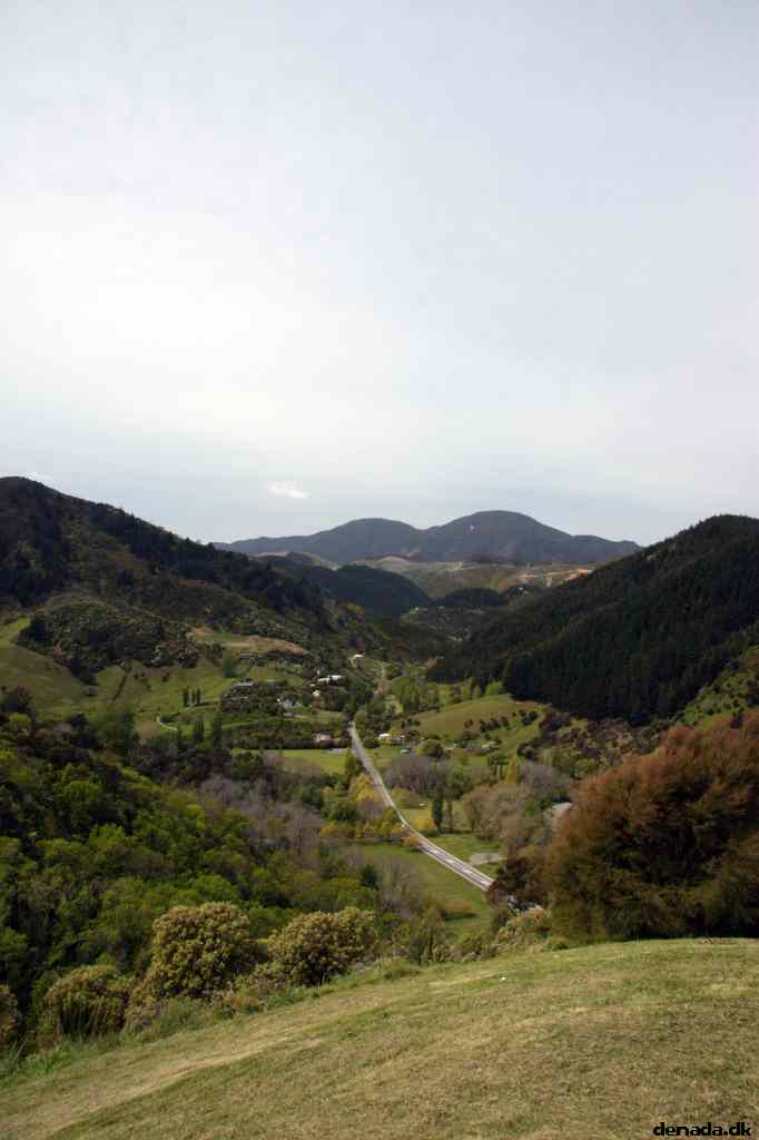 * Image 22