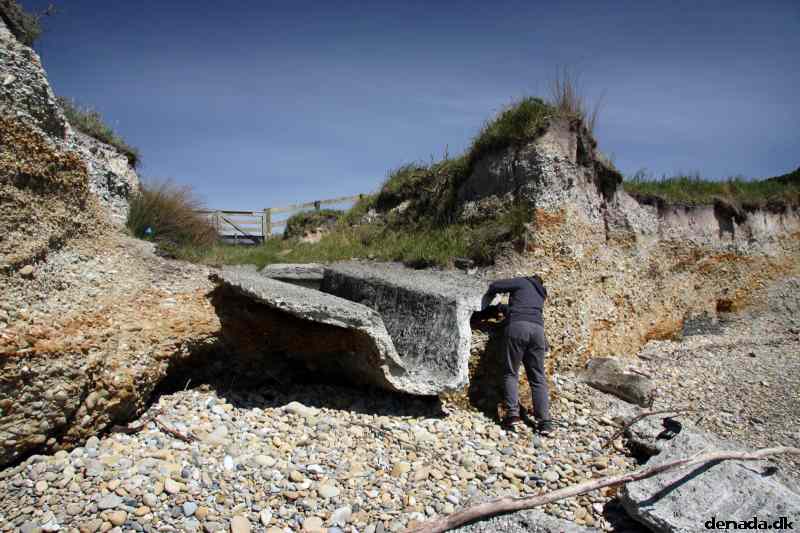 * Image 6