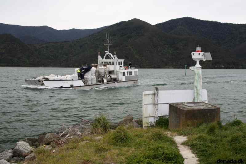 * Image 41