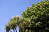 20121025_1203380m.jpg - 2012:10:25 12:03:38