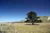 20121025_1235200m.jpg - 2012:10:25 12:35:20