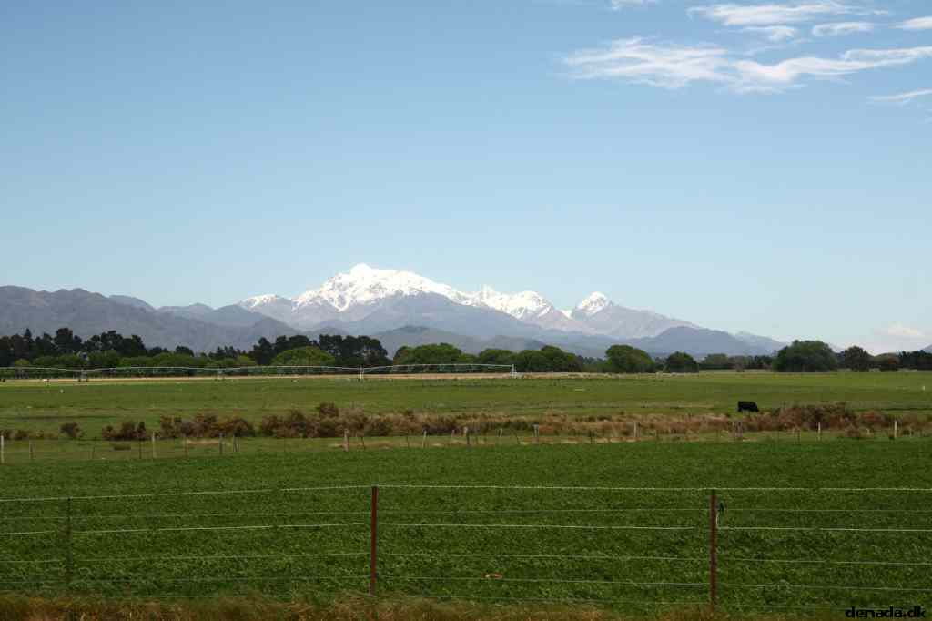 * Image 3