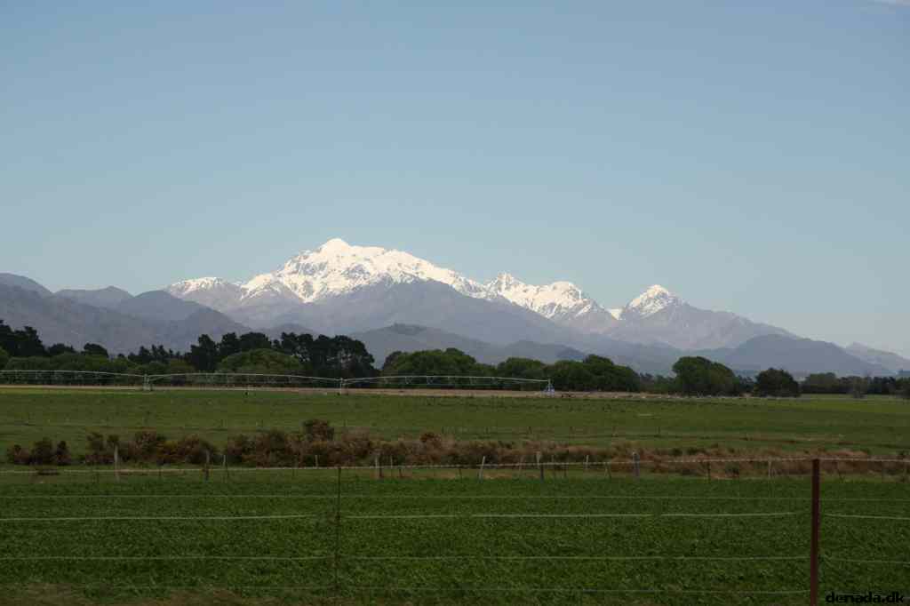 * Image 7
