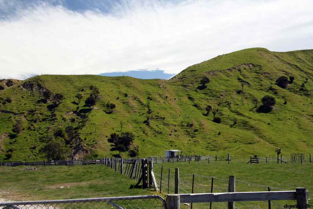 * Image 15