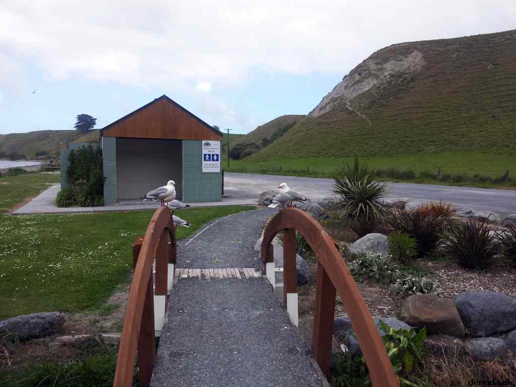 * Image 38