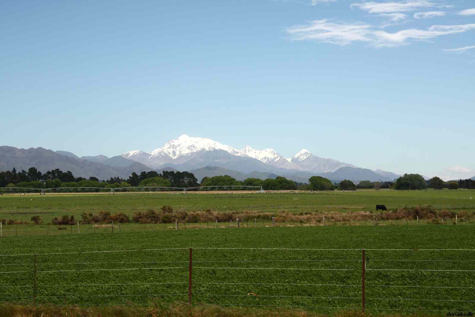 * Image 3