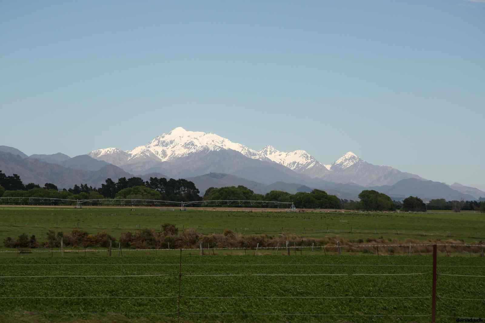 * Image 7