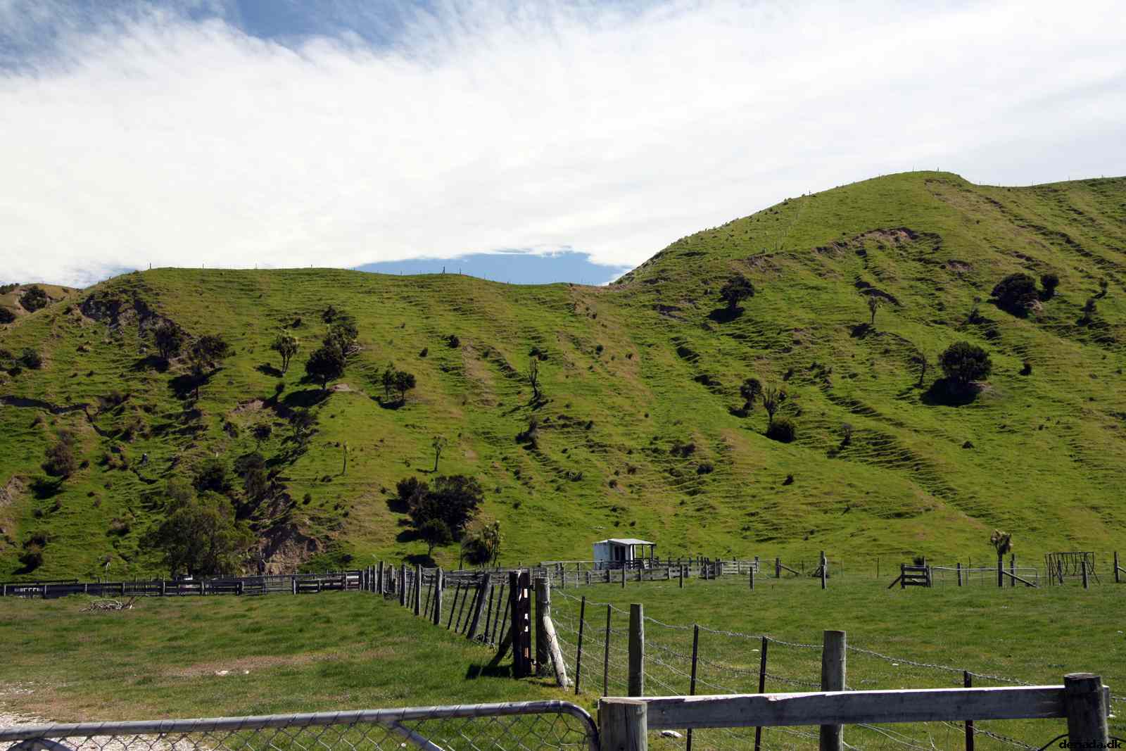 * Image 15