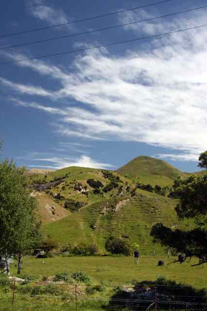 * Image 18