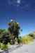 20121025_1202500m.jpg - 2012:10:25 12:02:50