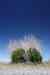20121025_1246020m.jpg - 2012:10:25 12:46:02