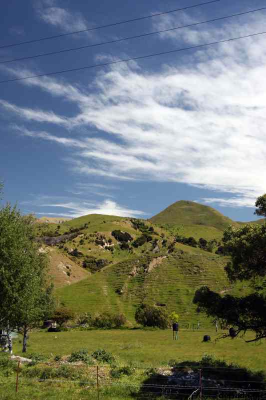 * Image 18