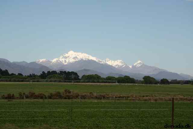 * Image 7