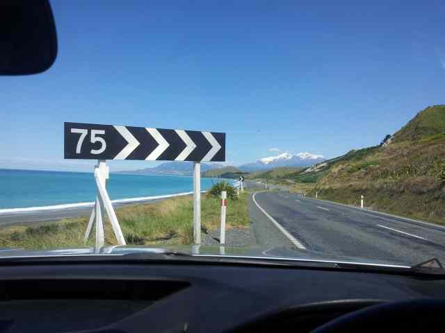 * Image 22