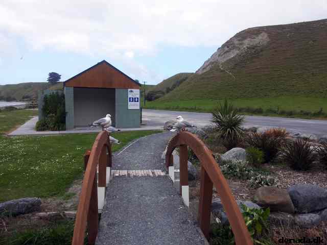 * Image 38
