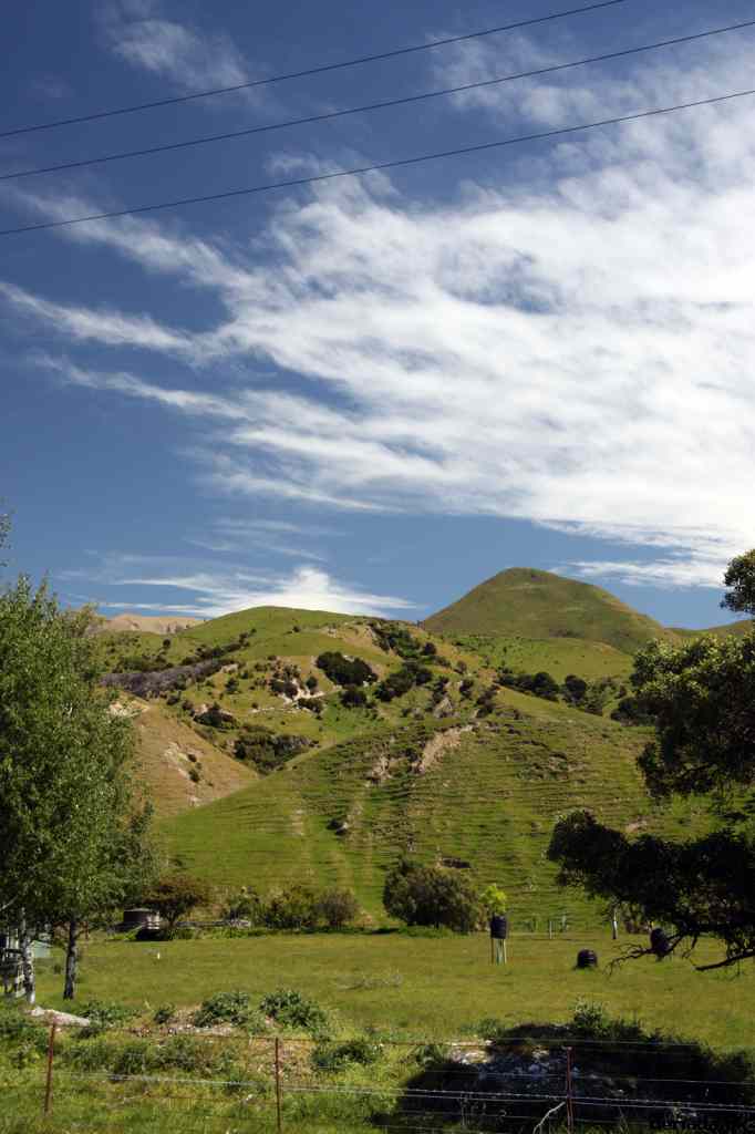 * Image 18