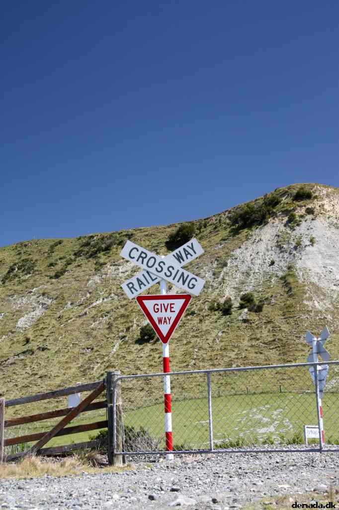 * Image 35