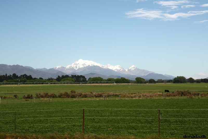 * Image 3