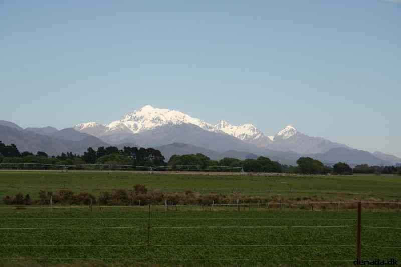 * Image 7