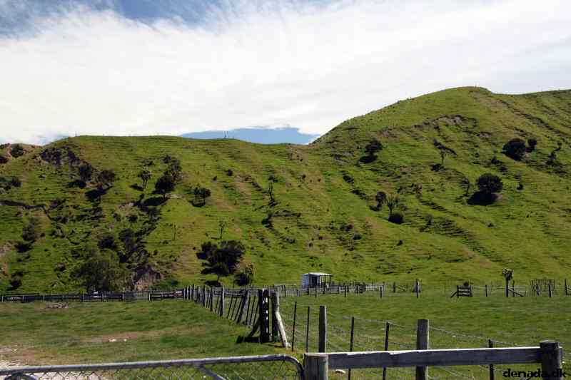 * Image 15