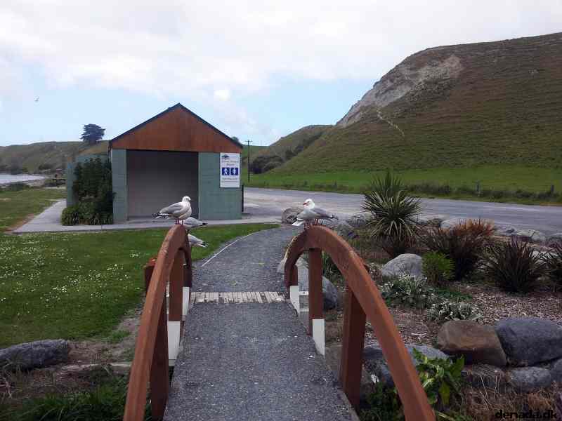 * Image 38