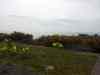 20130417_113219m.jpg - 2013:04:17 11:32:18