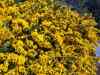 20130417_115253m.jpg - 2013:04:17 11:52:52