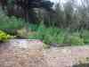 20130417_152628m.jpg - 2013:04:17 15:26:28