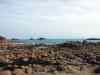 20130417_163052m.jpg - 2013:04:17 16:30:52