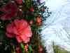 20130417_173935m.jpg - 2013:04:17 17:39:34