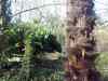 20130417_173957m.jpg - 2013:04:17 17:39:56
