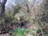 20130418_130518m.jpg - 2013:04:18 13:05:18
