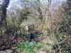 20130418_130523m.jpg - 2013:04:18 13:05:22