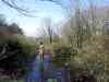 20130418_133251m.jpg - 2013:04:18 13:32:51
