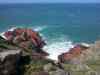 20130418_141821m.jpg - 2013:04:18 14:18:21