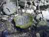 20130418_154857m.jpg - 2013:04:18 15:48:56