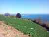 20130419_145035m.jpg - 2013:04:19 14:50:35