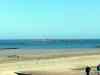 20130419_163611m.jpg - 2013:04:19 16:36:10